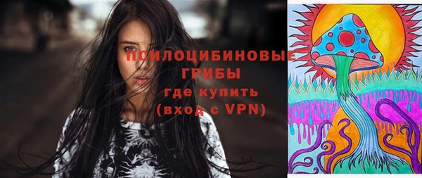 прущие грибы Богородицк