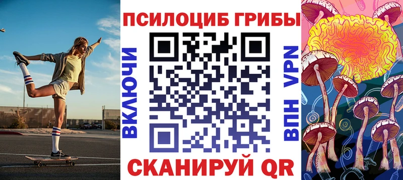 Псилоцибиновые грибы Cubensis  где купить наркоту  blacksprut зеркало  Мончегорск 