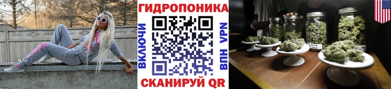 где найти   Мончегорск  Конопля тримм 
